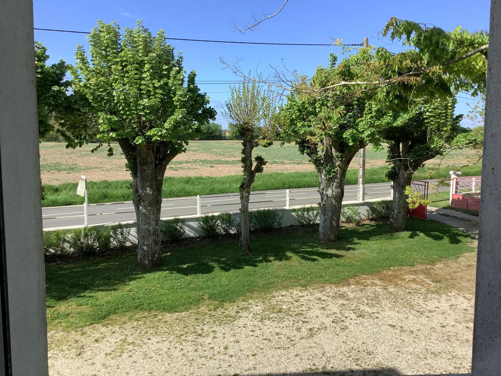 Autour Des Vignes B&B Herry Exterior foto